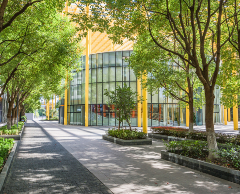 Front view of a cobblestone street lined with trees and a commercial building in the background