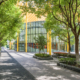 Front view of a cobblestone street lined with trees and a commercial building in the background